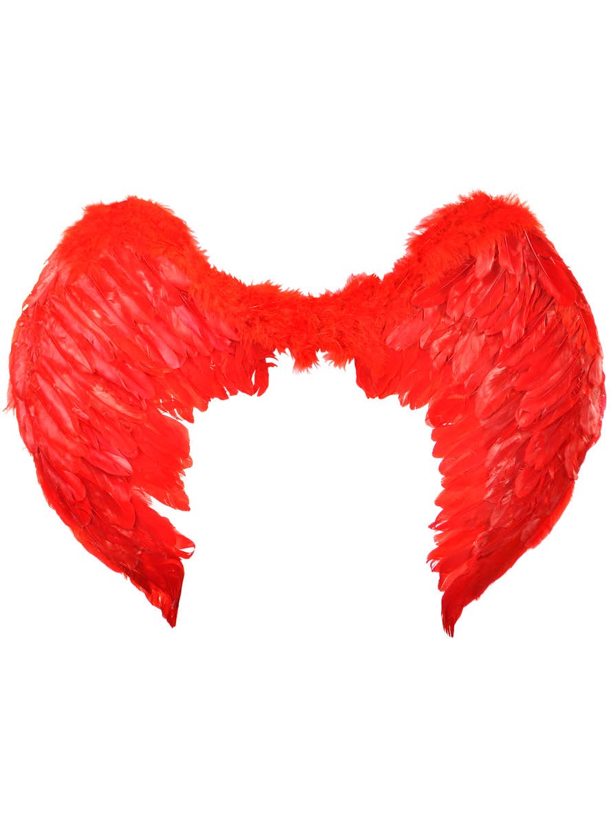 Image of Large Red Feather Fallen Angel Costume Wings