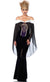 Bewitching Evil Queen Womens Fairytale Costume - Main Image
