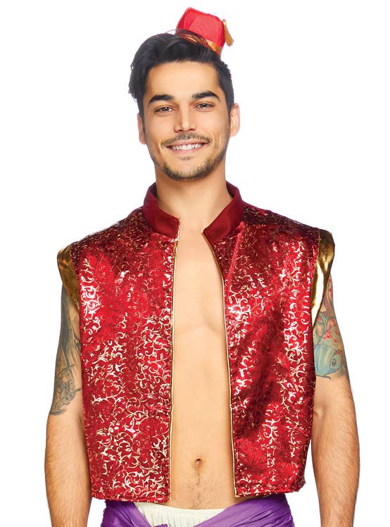 Men's Deluxe Aladdin Arabian Nights Fancy Dress Costume Front Close Image