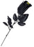 Image of Dragon Eye Black Rose Halloween Costume Accessory - Main Image