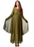 Image of Sheer Olive Green Women's Medieval Costume Dress - Front View