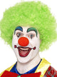 Image of Fluffy Green Clown Afro Men's Costume Wig