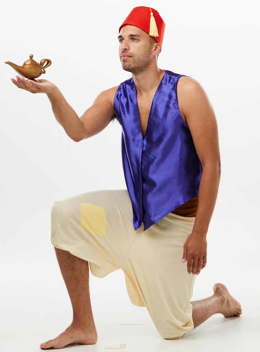 Image of Disney Aladdin Men's Fancy Dress Costume - Alternate Image