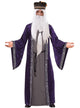 Image of Eccentric Wizard Men's Dumbledore Inspired Costume - Main Image