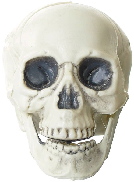 Image of Mini 11cm Human Skull Halloween Decoration - Main Image