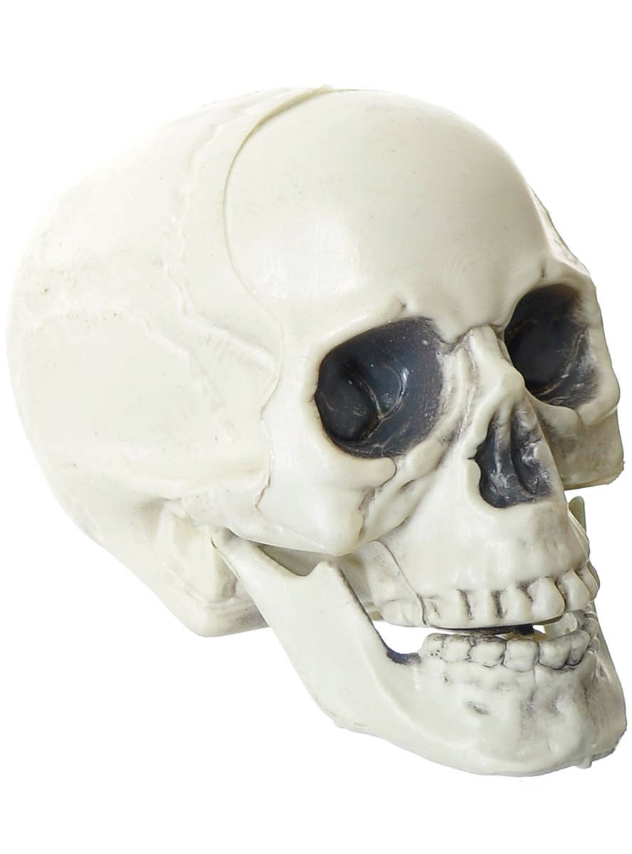 Image of Mini 11cm Human Skull Halloween Decoration - Alternate Image