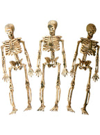 Image of Small 15cm Mutated Skeletons 3 Pack Halloween Decorations