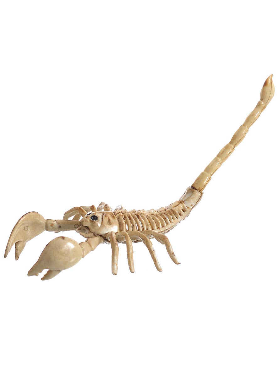Image of Large Plastic Skeleton Scorpion Halloween Decoration - Alternate Image