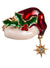 Image of Santa Hat with Holly Jewelled Enamel Christmas Brooch
