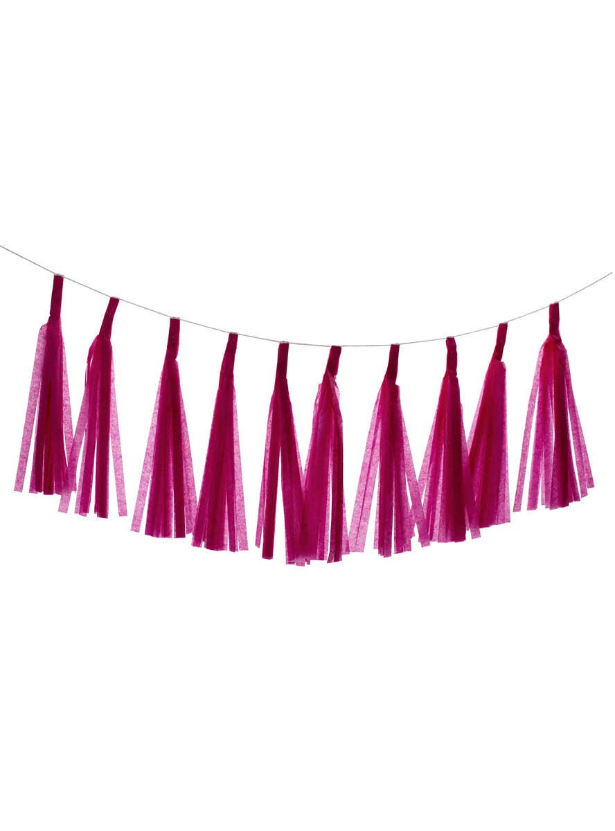 Image of Magenta 10 Pack 35cm Of Decorative Paper Tassels - Main Image