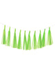 Image of Lime Green 9 Pack 35cm Of Decorative Paper Tassels - Main Image