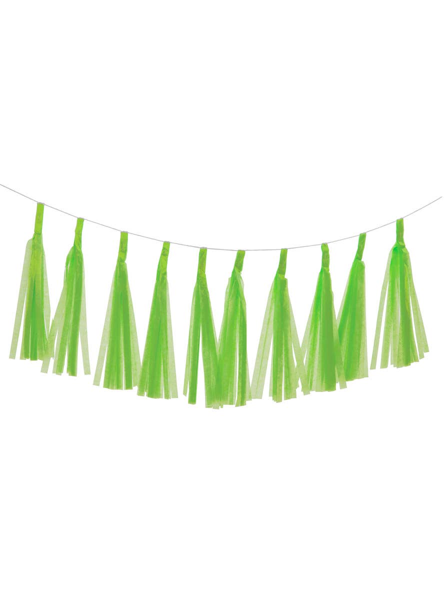 Image of National Green 9 Pack 35cm Of Decorative Paper Tassels - Main Image