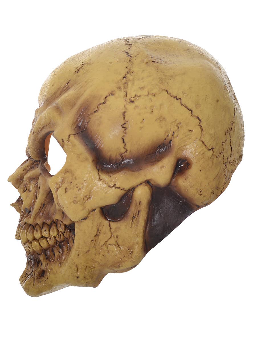 Latex Full Head Skeleton Halloween Mask Costume Accessory - Side Image