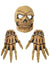 Skeleton Hands and Old Skull Mask Scary Halloween Set