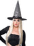 Silver Shimmery Witch Costume Hat for Adults