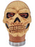 Latex Aged Look Skull Face Halloween Costume Mask