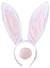 Image of Classic Pink and White Bunny Ears and Tail Accessory Set - Main Image