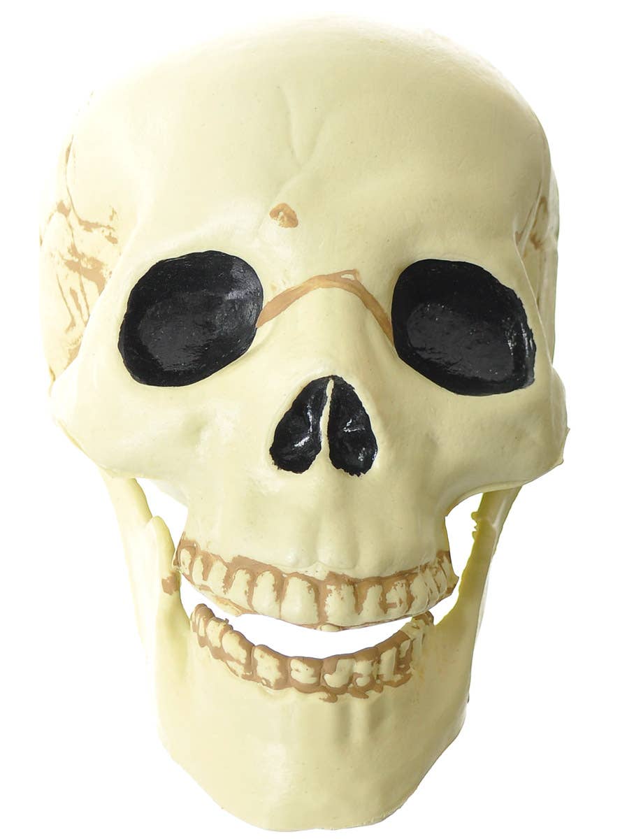 Image of Plastic 15cm Skull Decoration with Moveable Jaw - Main Image