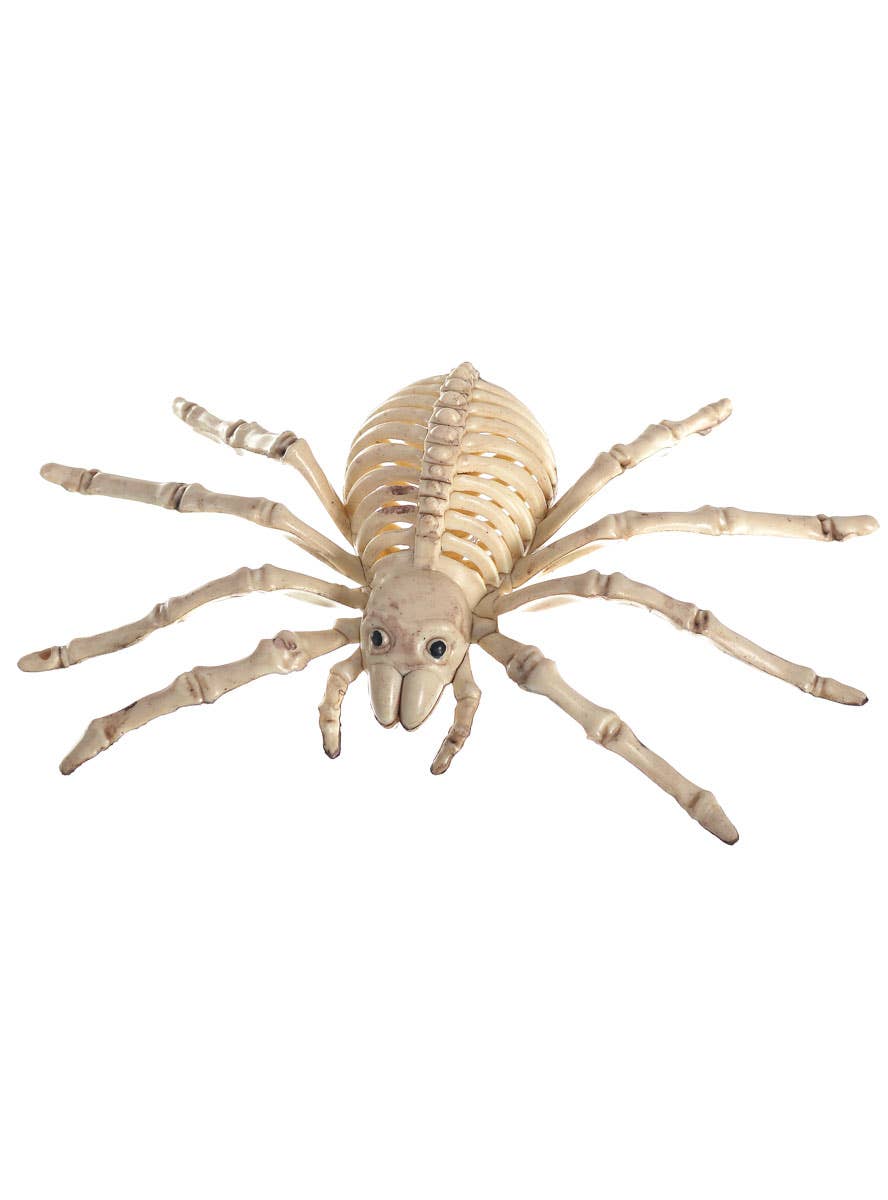 Image of Creepy Plastic Spider Skeleton Halloween Decoration