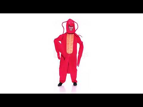 Men's Red Rock Lobster Novelty Costume Product Video