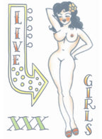 Tinsley Transfers Pin Up 1950's Girl Temporary Tattoo - Alternative Image