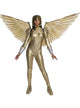 Wonder Woman Golden Armour Wings - Front Image