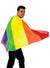 Adults Rainbow Pride Costume Cape