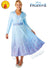 Women's Deluxe Frozen 2 Elsa Fancy Dress Costum Front Image