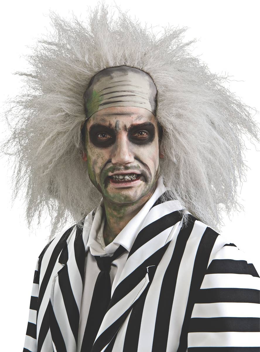 Men's Grey Beetlejuice Frizzy Halloween Costume Wig