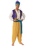 Arabian Prince Aladdin Men's Dress Up Costume