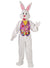 Adults Deluxe Plus Size Easter Bunny Mascot Costume - Close Image