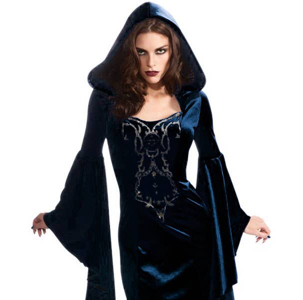 Dark Blue Velvet Gothic Sorceress Women's Witch Halloween Costume - Alternative Image