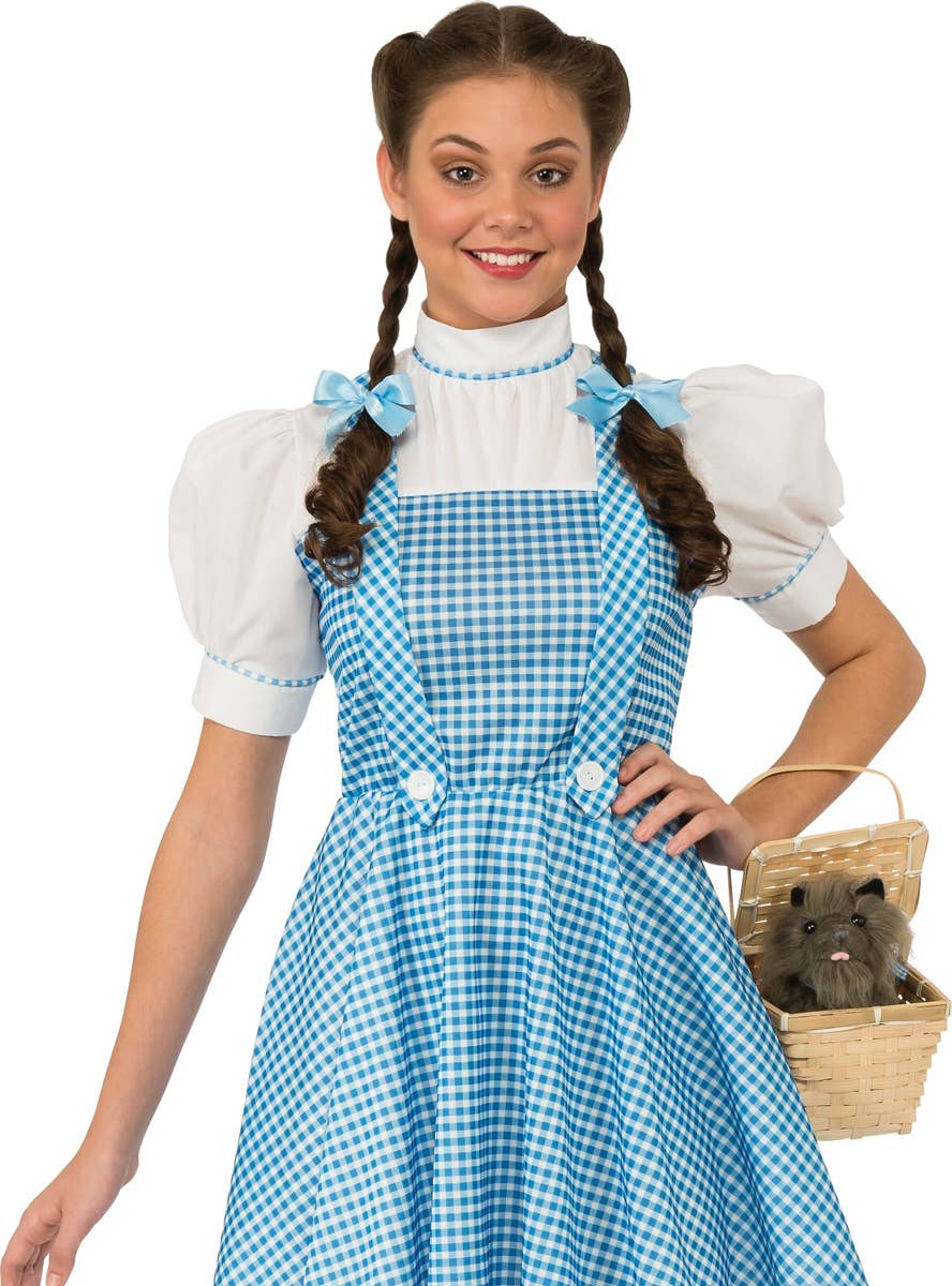 Teen Girls Blue Gingham Dorothy Wizard of Oz Storybook Costume -  Close Up Image