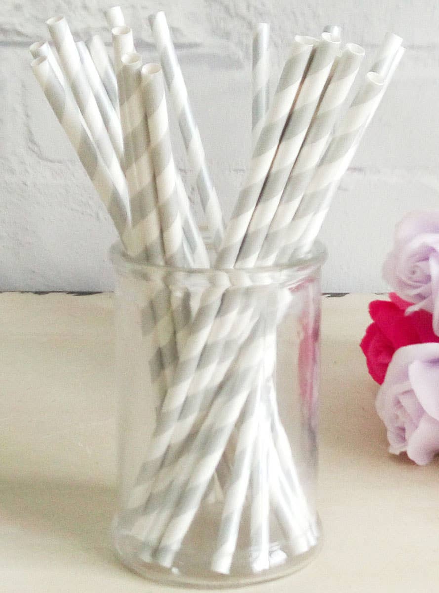 Image of Silver and White Stripe 20 Pack Paper Straws