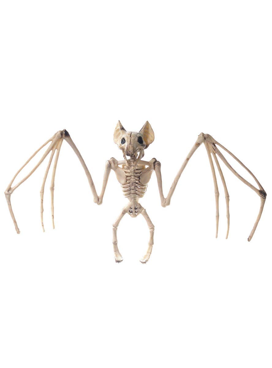 Image of Small Plastic Skeleton Bat Halloween Decoration