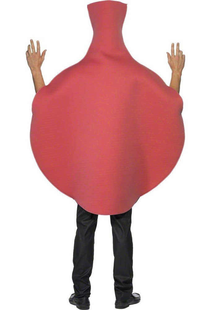 Novelty Whoopee Cushion Costume For Adults - Back Image