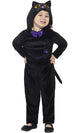 Toddler Girls Cute Black Cat Halloween Fancy Dress Costume Front Image