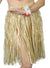 Short Natural Grass Skirt Costume Accessory