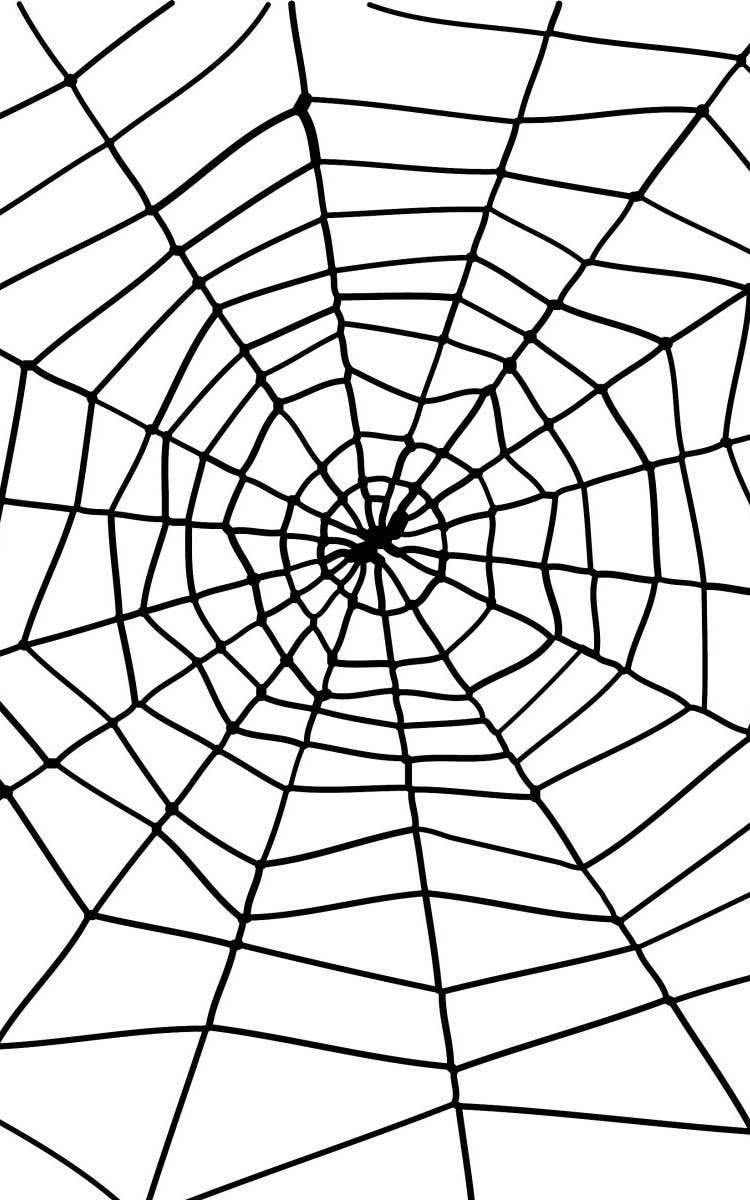 Giant Spider Web with Spider Halloween Decoration - Alternative Image