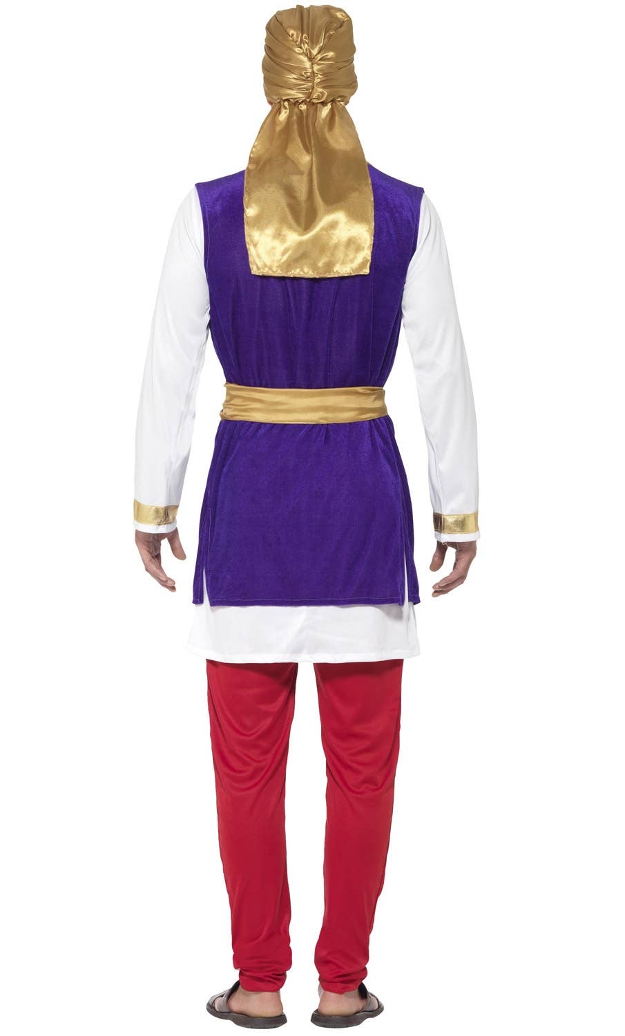 Desert Prince Mens Aladdin Fancy Dress Arabian Costume - Back Image