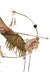 Native Indian Wild West Bow And Arrow With Feathers Costume Weapon Accessory
