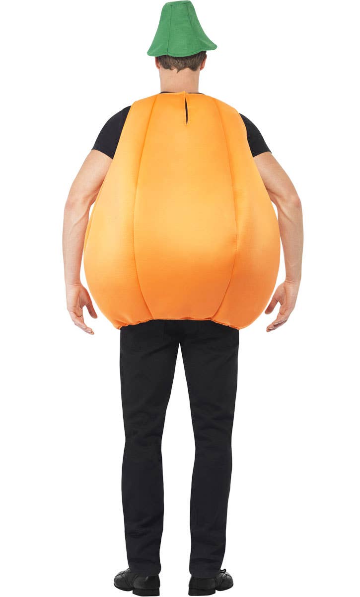 Novelty Pumpkin Fancy Dress Costume Back View