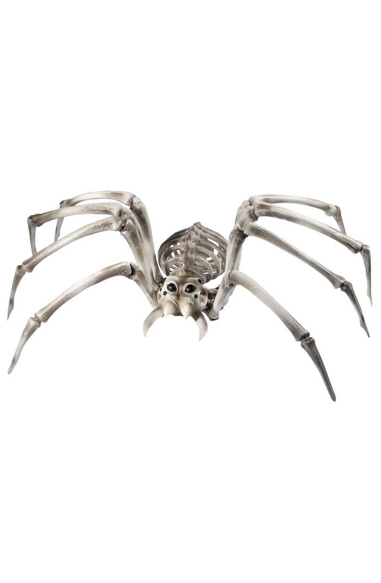 Image of Spider Skeleton Large Halloween Decoration