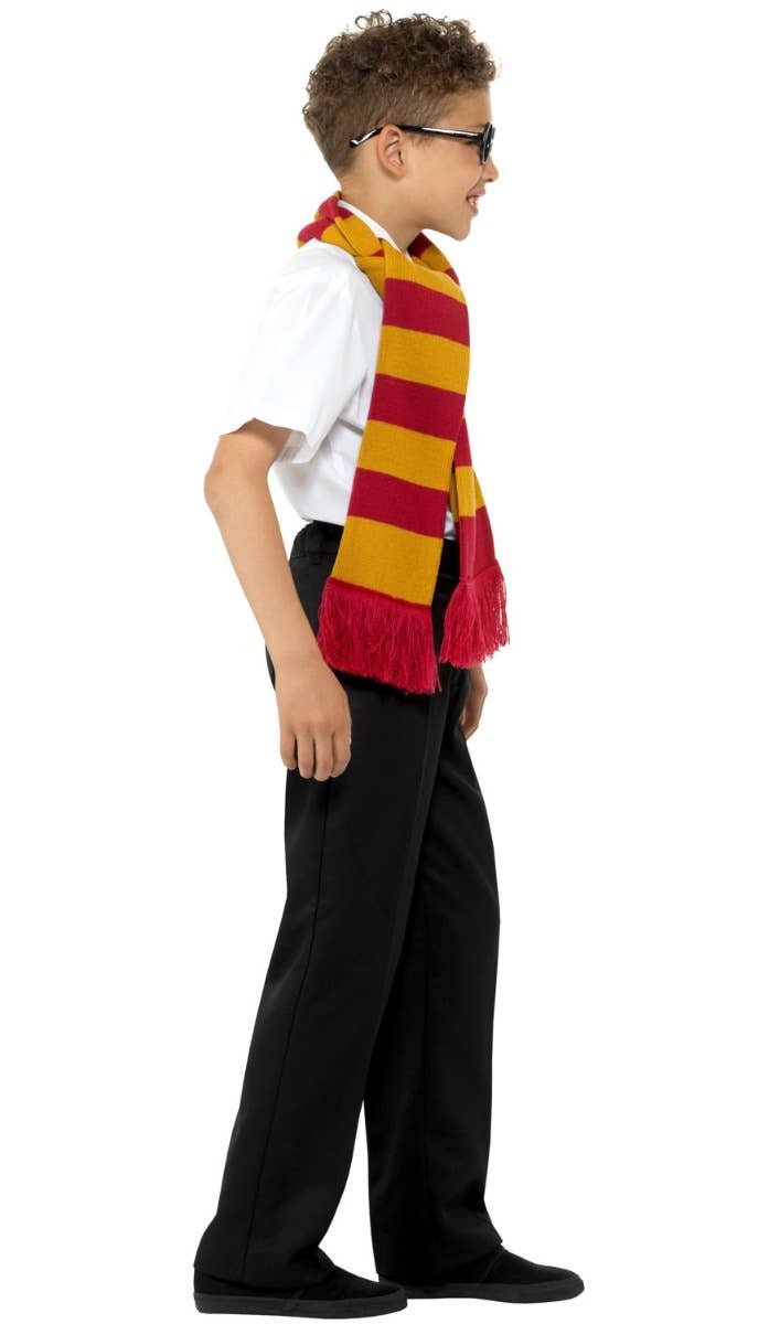 Magical Schoolboy Wizard Gryffindor Costume Accessory Kit Side Image