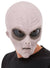 Grey Full Head Alien Latex Mask
