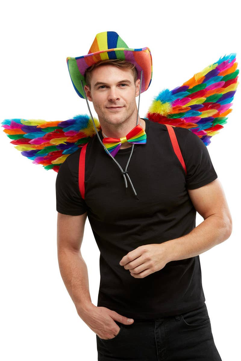 Rainbow Feather Costume Wings Front Image