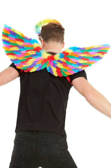 Rainbow Feather Costume Wings Back Image