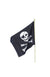 Black and White Pirate Flag with Skull and Crossbones