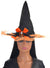 Image of Sparkly Black and Orange Witch Hat with Bow