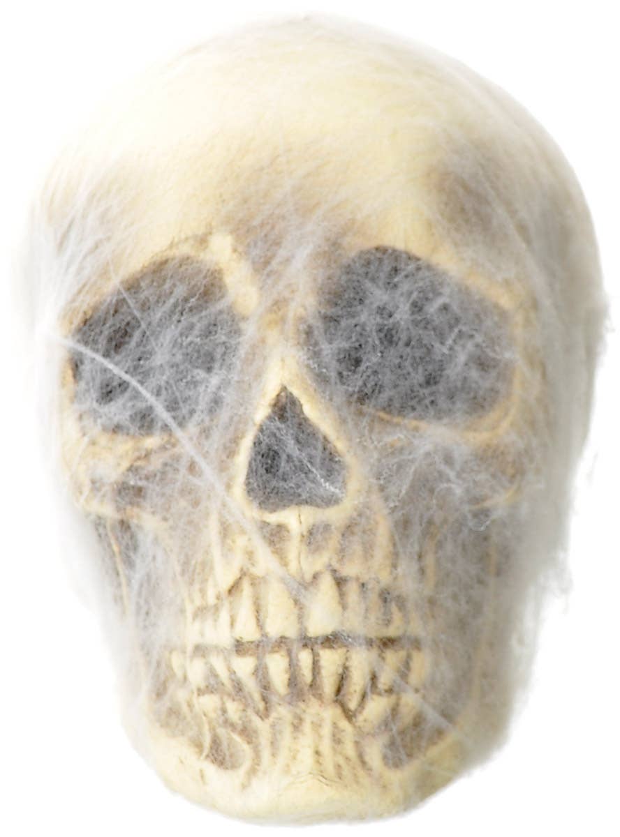 Image of Web Covered 16cm Foam Skull Halloween Decoration - Main Image